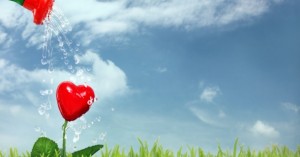 14 fevrier, penurie de valentines