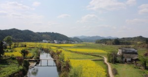 Balades dans le Wuyuan