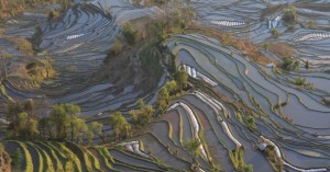 Le Yunnan