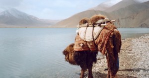 Xinjiang