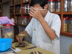 La médecine traditionnelle chinoise