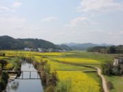 Balades à pied dans la région de Wuyuan (Jiangxi) Balades dans le Wuyuan