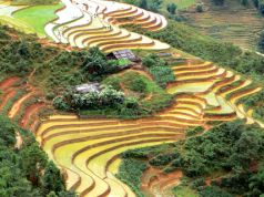 Village de Longji avec ses rizières en plateau