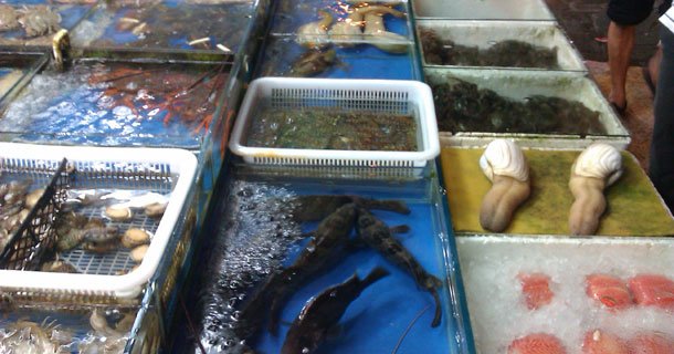 Le-marché-aux-poissons-et-fruits-de-mer-de-Shanghai