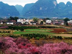 Bientôt le printemps !