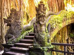 Fête du Nyepi… pas un bruit à Bali !