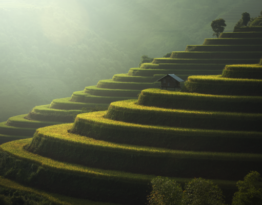 Avis Marco Vasco sur le Vietnam avis marco vasco